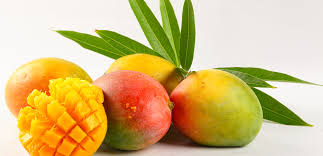 Organic Natural Mango, Shelf Life : 5-10Days