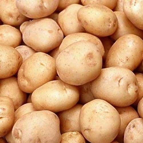 Organic Potato