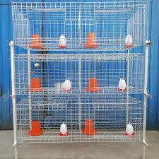 Rectangular Non Polished Carbon Steel Chick Cage, for Broiler Chicken, Farm, Pullet Chicken, Color : Grey