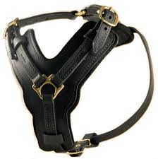 Leather Harness, for Constructional, Industrial Pupose, Gender : Female, Male