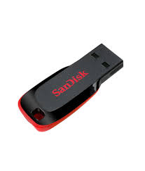 Sandisk Wooden Pen Drives, for Data Storage, Style : Key Chain Type, Locket Type, Wrist Band Type