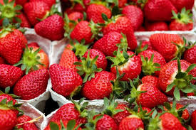 Common strawberry, for Home, Hotels, Style : Fresh