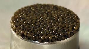 Caviar, for Household, Restaurant, Style : Dried, Wet