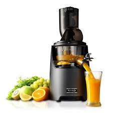 fruit juicer