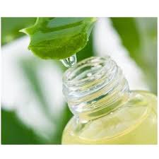 Aloe Vera Extracts, Packaging Type : Bottle, Drum, Plastic Pouch