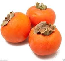 Persimmon, Feature : Non Harmful, Healthy, Good Taste, Rich In Protein, Vitamin, Air Tight Packaging