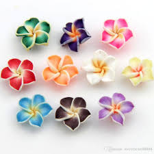 Clay flower, for Decoration, Style : Dried