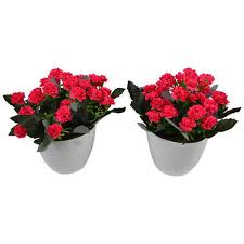 Tabletops & Desktops Artificial Flowers, Packaging Type : Carton Box, Thermocol Box