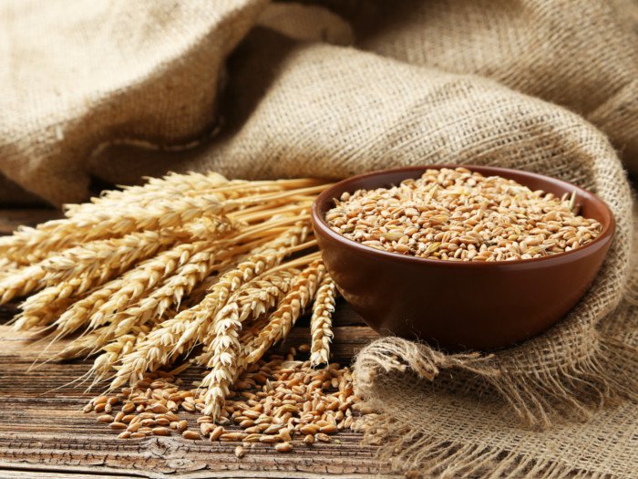 Human Feed Wheat