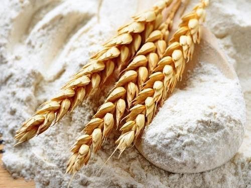 Wheat flour, for Cooking, Human Consumption, Color : White