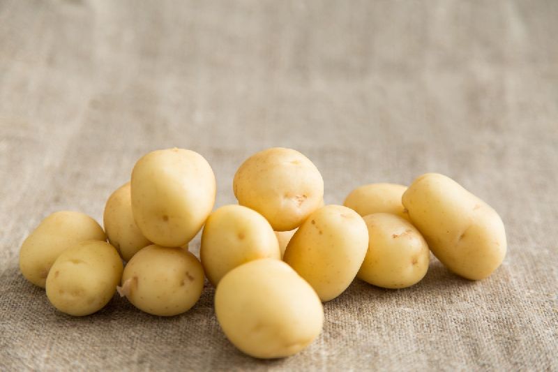Organic Fresh Small Potato, For Cooking