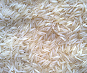 Hard Organic Parmal Basmati Rice, for Cooking, Human Consumption