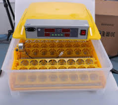Fully Automatic Aluminum Duck Egg Incubator, for Industrial Use, Medical Use, Voltage : 110V, 220V