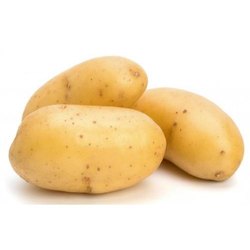 fresh potato