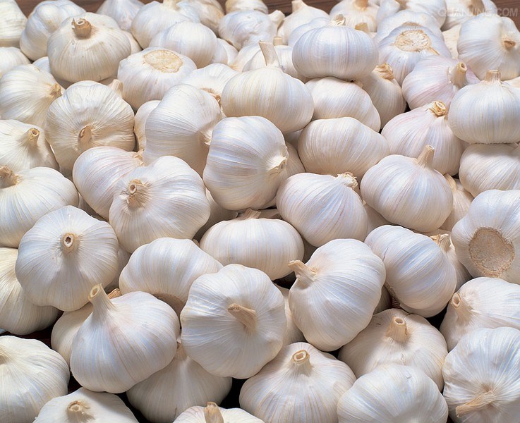Organic fresh garlic, for Cooking, Snacks, Feature : Gluten Free