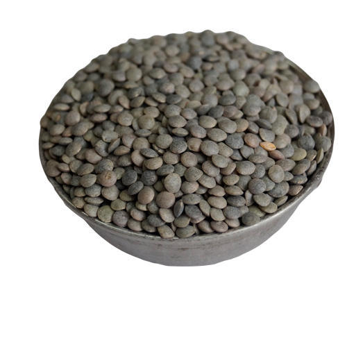 Organic Black Masoor Dal, for Cooking, Feature : Healthy To Eat, Nutritious