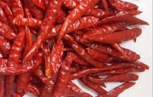 Organic Raw Dried Red Chilli, Length : 6 to 9 cm