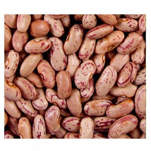 Organic Speckled Kidney Beans, for Cooking, Color : Light Brown, Light Red