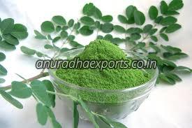 Dry Moringa Leaf Powder