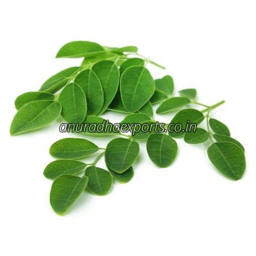 Natural Moringa Leaves, for Cosmetics, Feature : Good Quality, Highly Effective, Insect Free