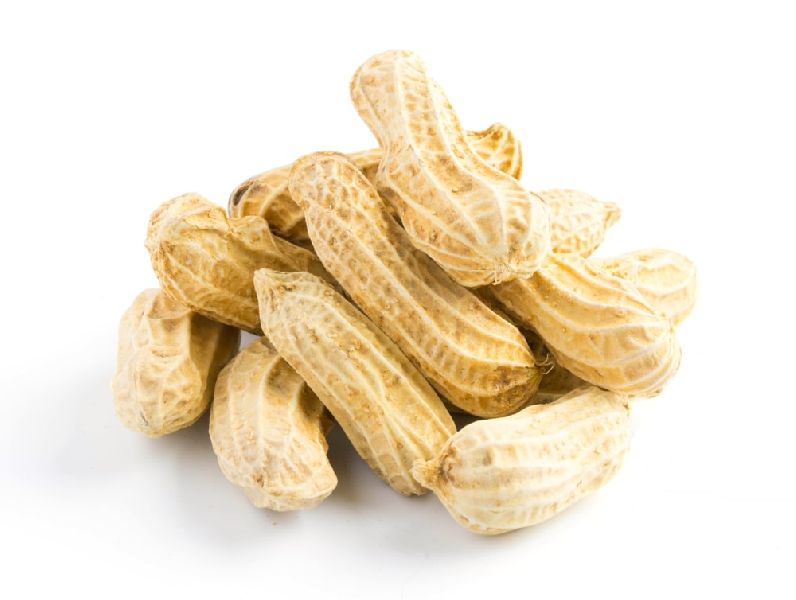 Organic Shelled Peanuts, Packaging Type : Gunny Bag, Jute Bag