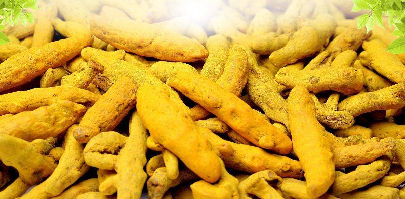 Organic Natural Turmeric Finger