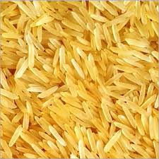 Hard Organic Golden Basmati Rice, for Gluten Free, High In Protein, Packaging Type : Loose Packing