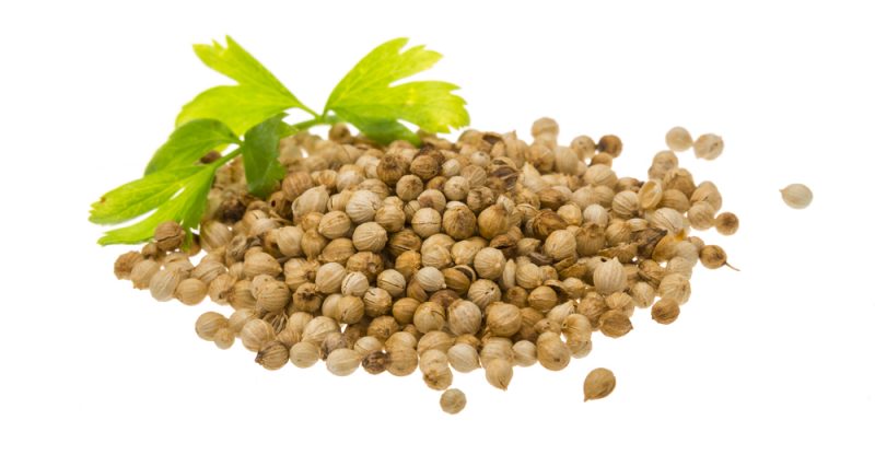 coriander seeds