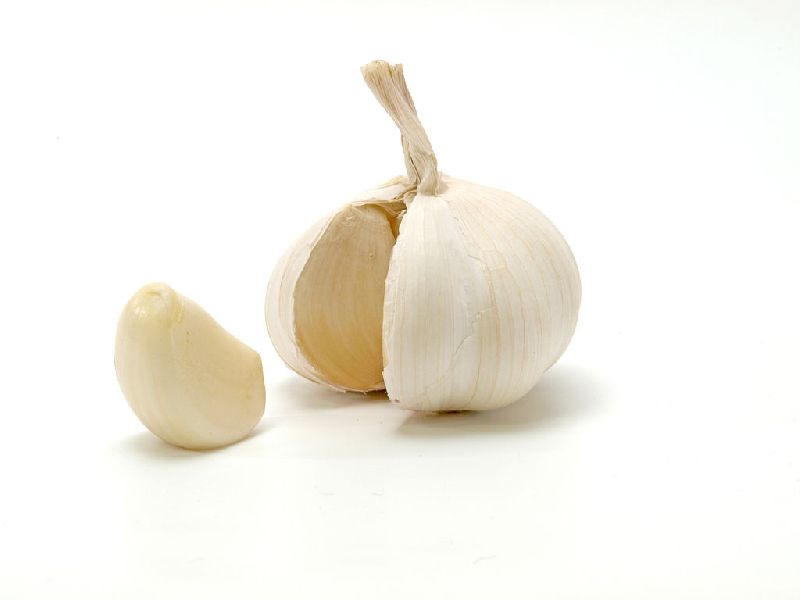 Organic fresh garlic, for Cooking, Packaging Type : Gunny Bags