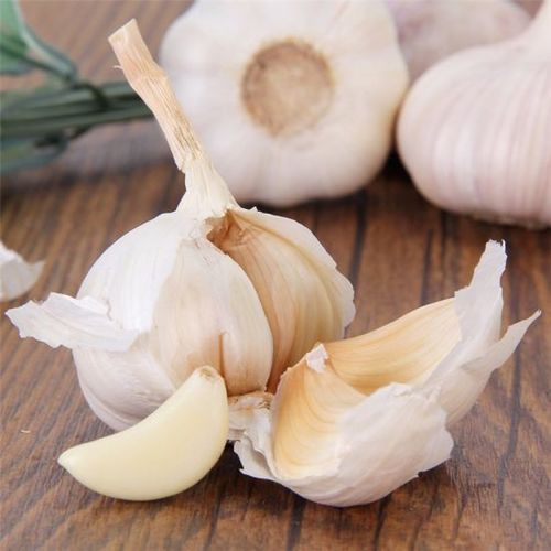 Organic Fresh Indian Garlic