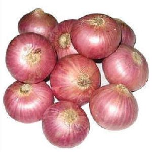 Fresh Organic Onion, for Human Consumption, Feature : Natural Taste, Non Harmful