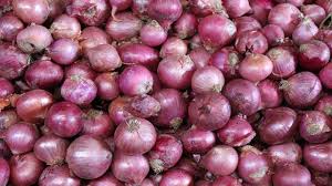 Organic fresh red onion, for Human Consumption, Size : Small