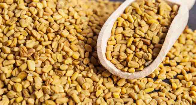 Organic Fenugreek Seeds