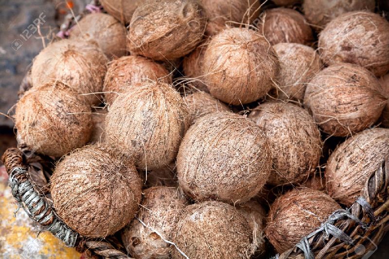 Retailer of Coconut from Bangalore, Karnataka by PAN TO PLATE FOODS