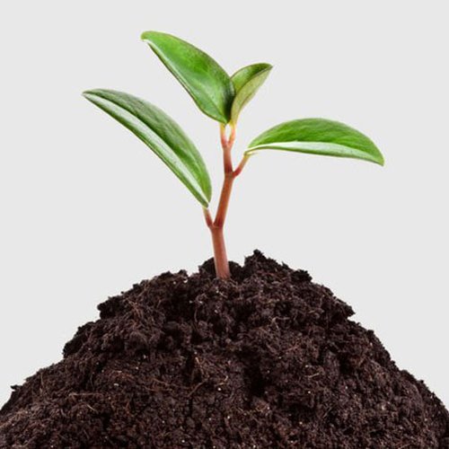 Agriculture Vermicompost, for Agricultural, Packaging Type : Packet, Bag