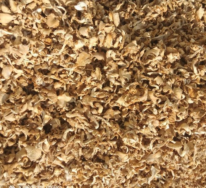 Dried Oyster Mushroom, Quality Available : A Grade