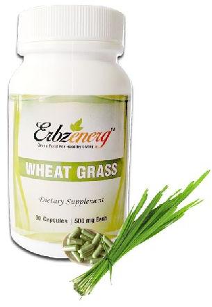 ERBZENERG herbal wheat grass capsules, for FMCG, Certification : FSSAI