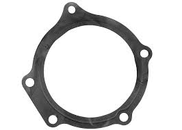 Non Polished Plain Iron Pump Gasket, Width : 0-2 Mm, 2-4 Mm, 4-8 Mm