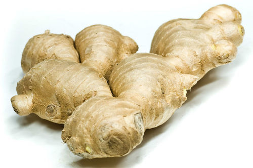 Organic Fresh Raw Ginger, Color : Brown