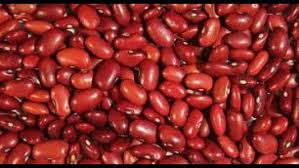 Organic Red Kidney Beans, for Cooking, Snacks, Style : Fresh