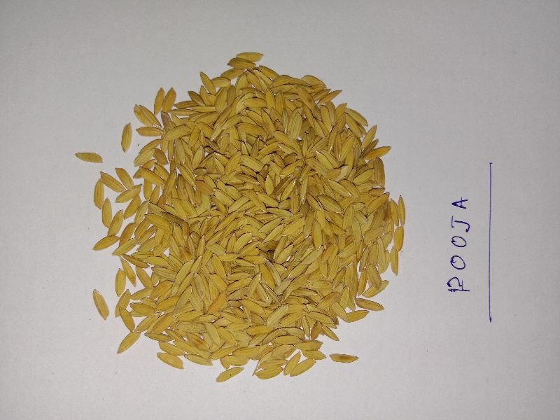 Common Paddy Husk, for Cooking, Food, Human Consumption, Certification : FDA Certified, FSSAI Certified