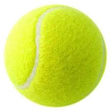 Cosco Plain Leather Tennis Ball, Size : Standard