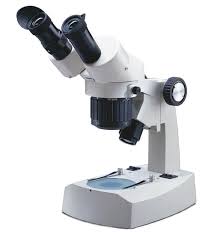 Electricity Stereo Microscopes, Voltage : 110V, 220 V