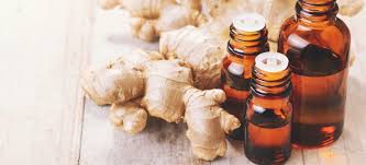 Ginger Oil, for Cooking, Medicine, Certification : ISO 9001-2008 Certified