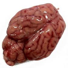 Mutton Brain, for Hotel, Restaurant, Certification : FDA Certified, FSSAI Certified