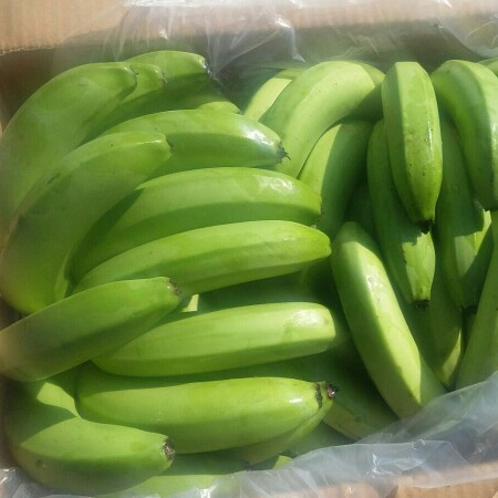 fresh cavendish banana