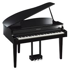 Wired ABS Plastic Piano, for Music Use, Certification : CE Certified