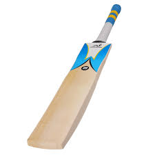 Plain 1kg Plastic cricket bat, Feature : Fine Finish, Light Weight, Premium Quality, Termite Resistance