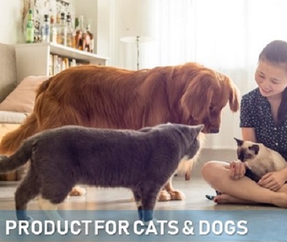 dog care product