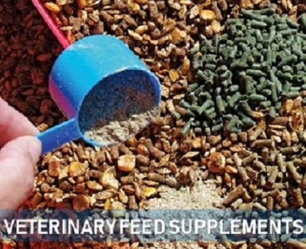 Organic veterinary feed supplements, for Flour, Food Grade Powder, Style Type : Dried